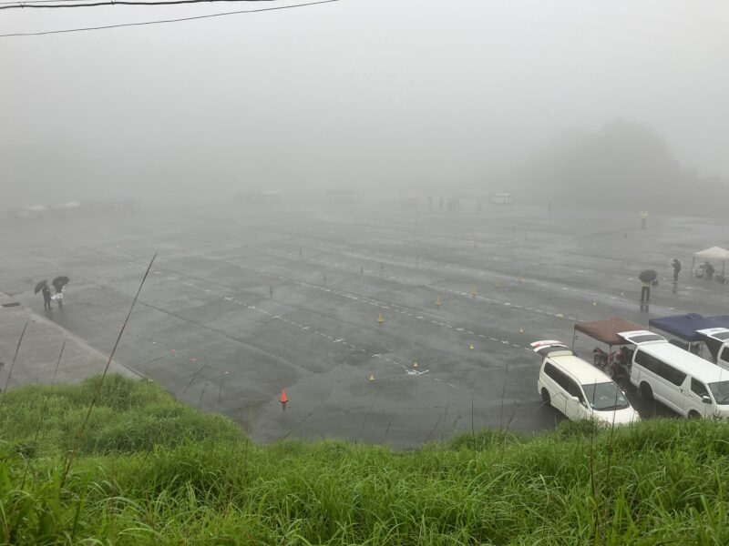 230709霧の中のちくさ